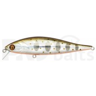 Pontoon21 Bet-A-Minnow